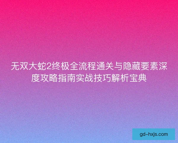 无双大蛇2终极全流程通关与隐藏要素深度攻略指南实战技巧解析宝典