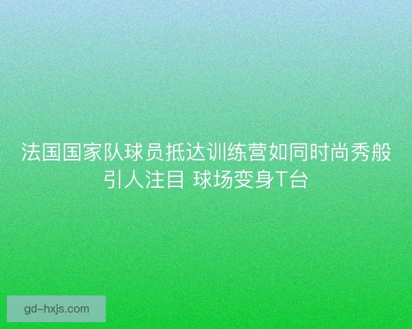 法国国家队球员抵达训练营如同时尚秀般引人注目 球场变身T台