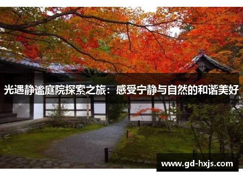 光遇静谧庭院探索之旅：感受宁静与自然的和谐美好